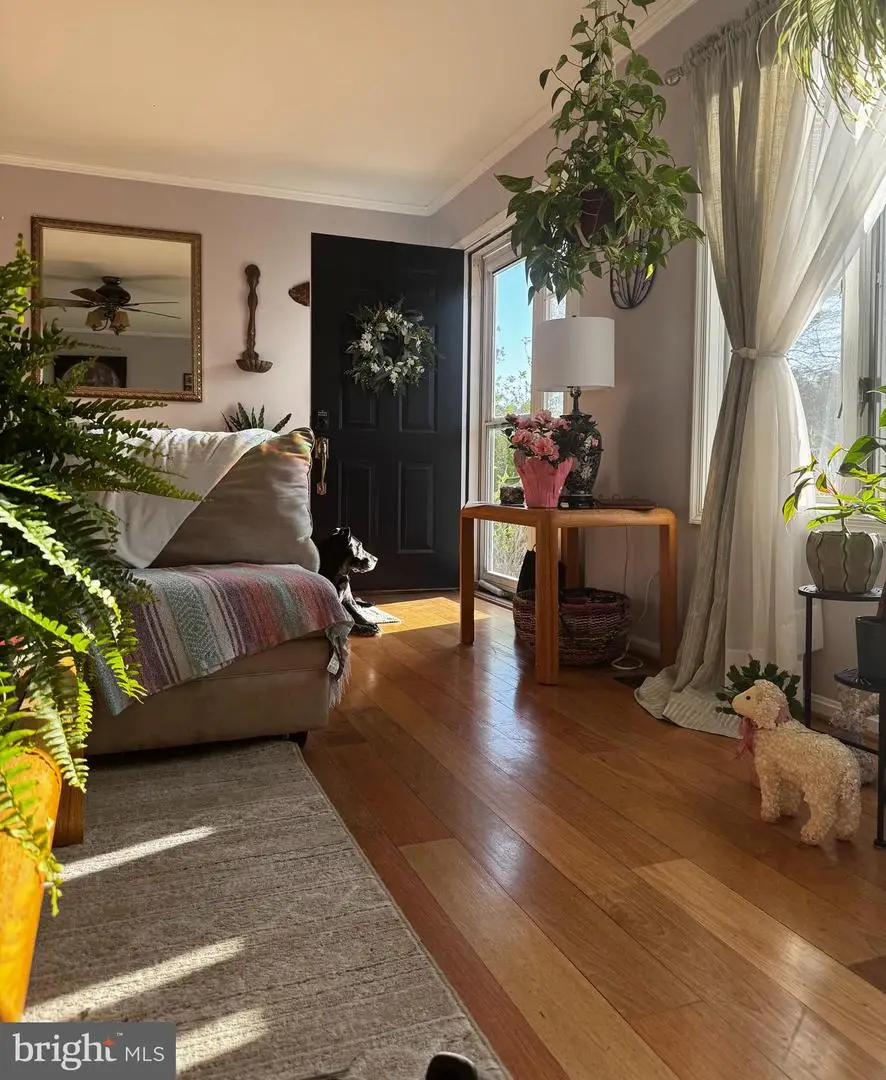 19605 Doe Dr, Georgetown, DE 19947 - #3