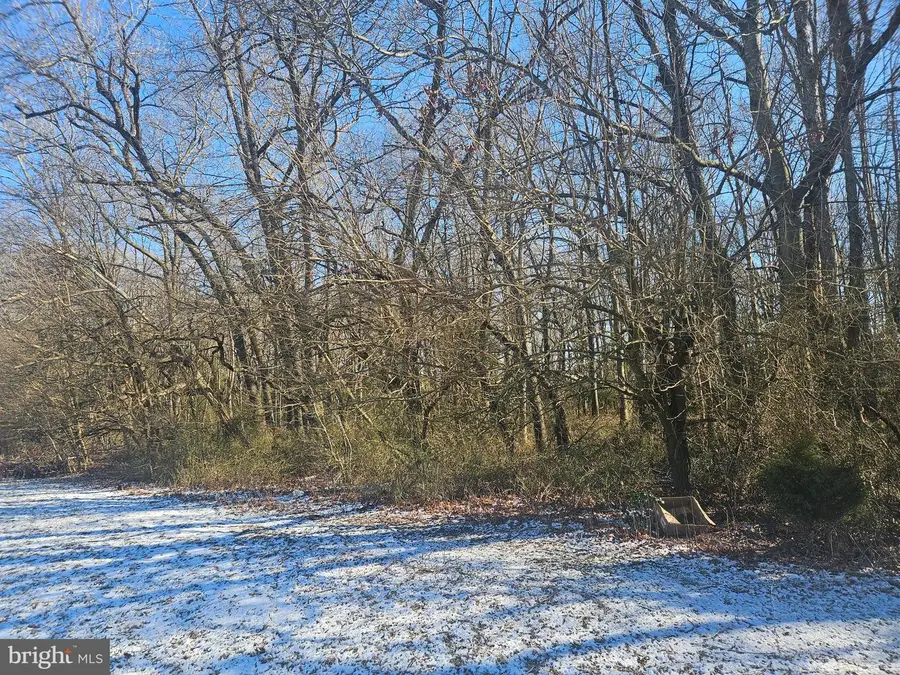 590 Acess Eas Residual Lands, Greenwood, DE 19950 - Image #3