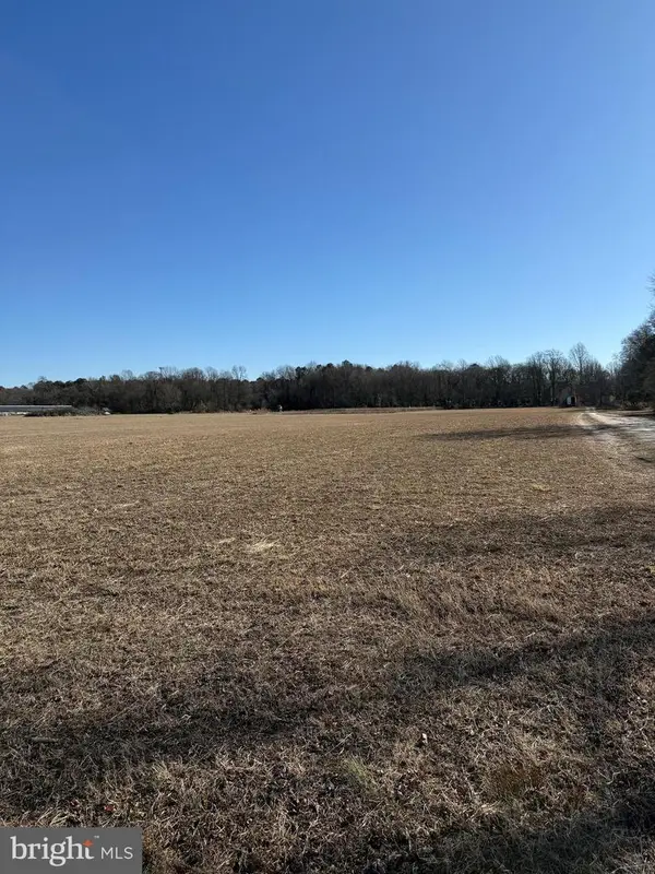 12393-lot # 2 Taylor Mill Road, LAUREL, DE 19956