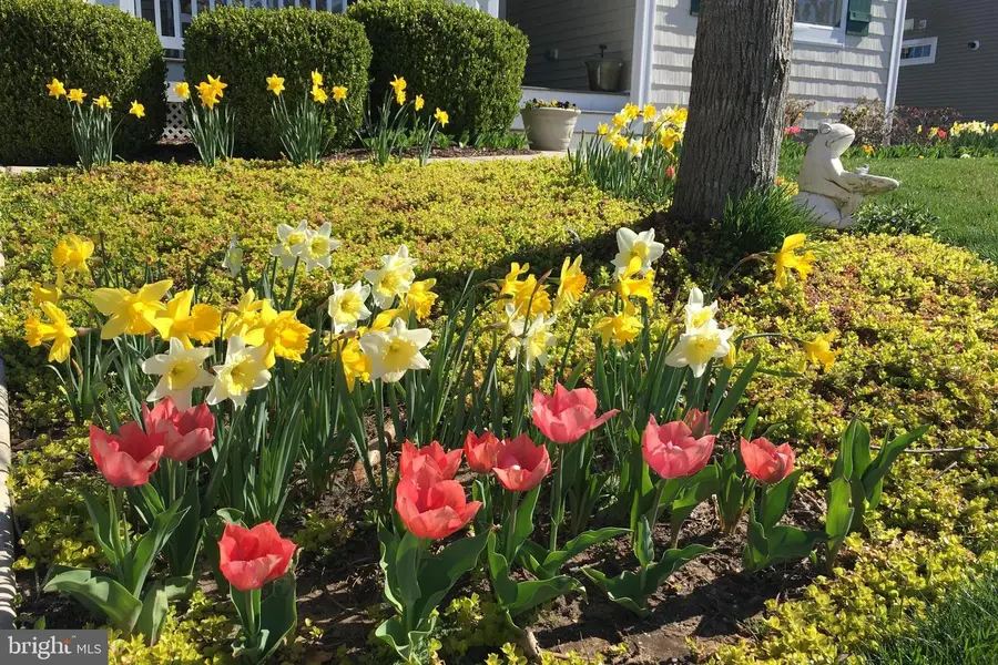 16635 Shoal Rd, Lewes, DE 19958 - Image #3