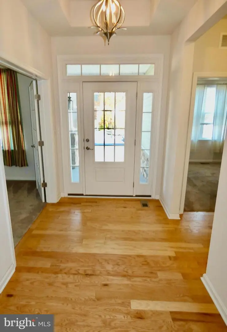 215 Mill Pond Ave, Milton, DE 19968 - #3