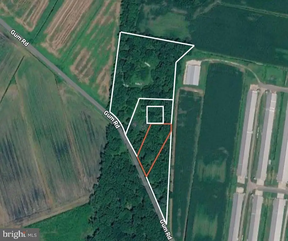 Gum Rd, Selbyville Frankford, DE 19975 - #1