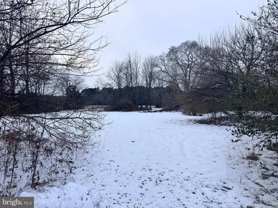 16756 Cedar Corners Rd, Bridgeville, DE 19933 - Image #3