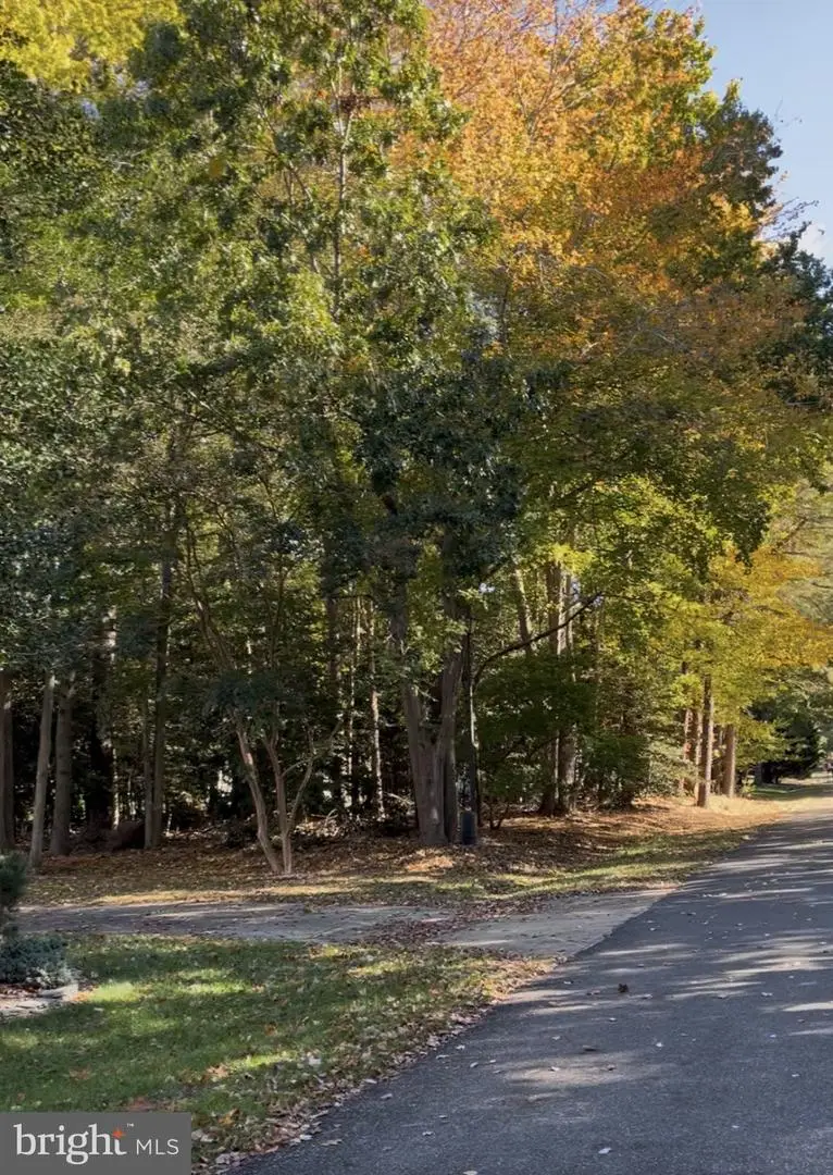 24 Manor Dr, Dagsboro, DE 19939 - #1