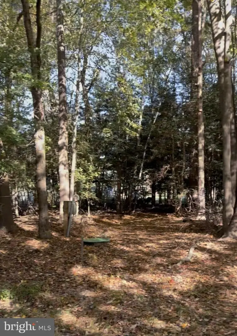 24 Manor Dr, Dagsboro, DE 19939 - #2