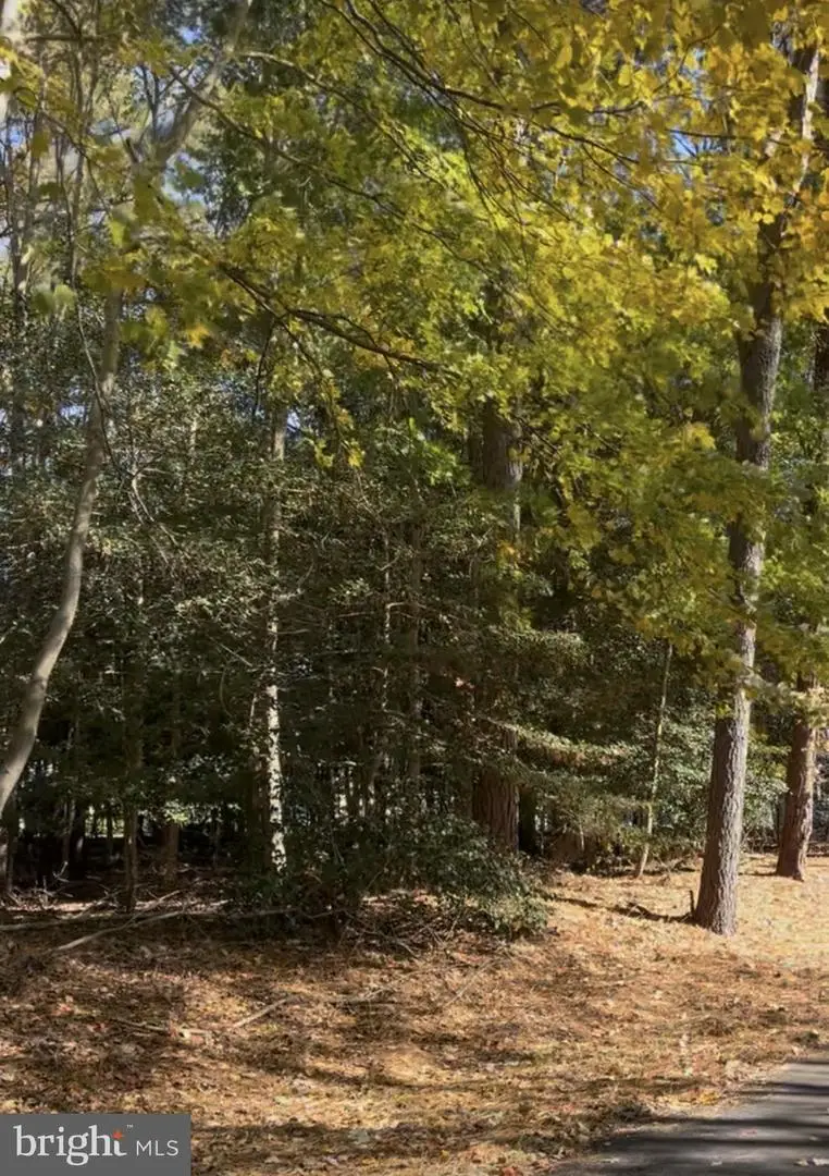 24 Manor Dr, Dagsboro, DE 19939 - #3