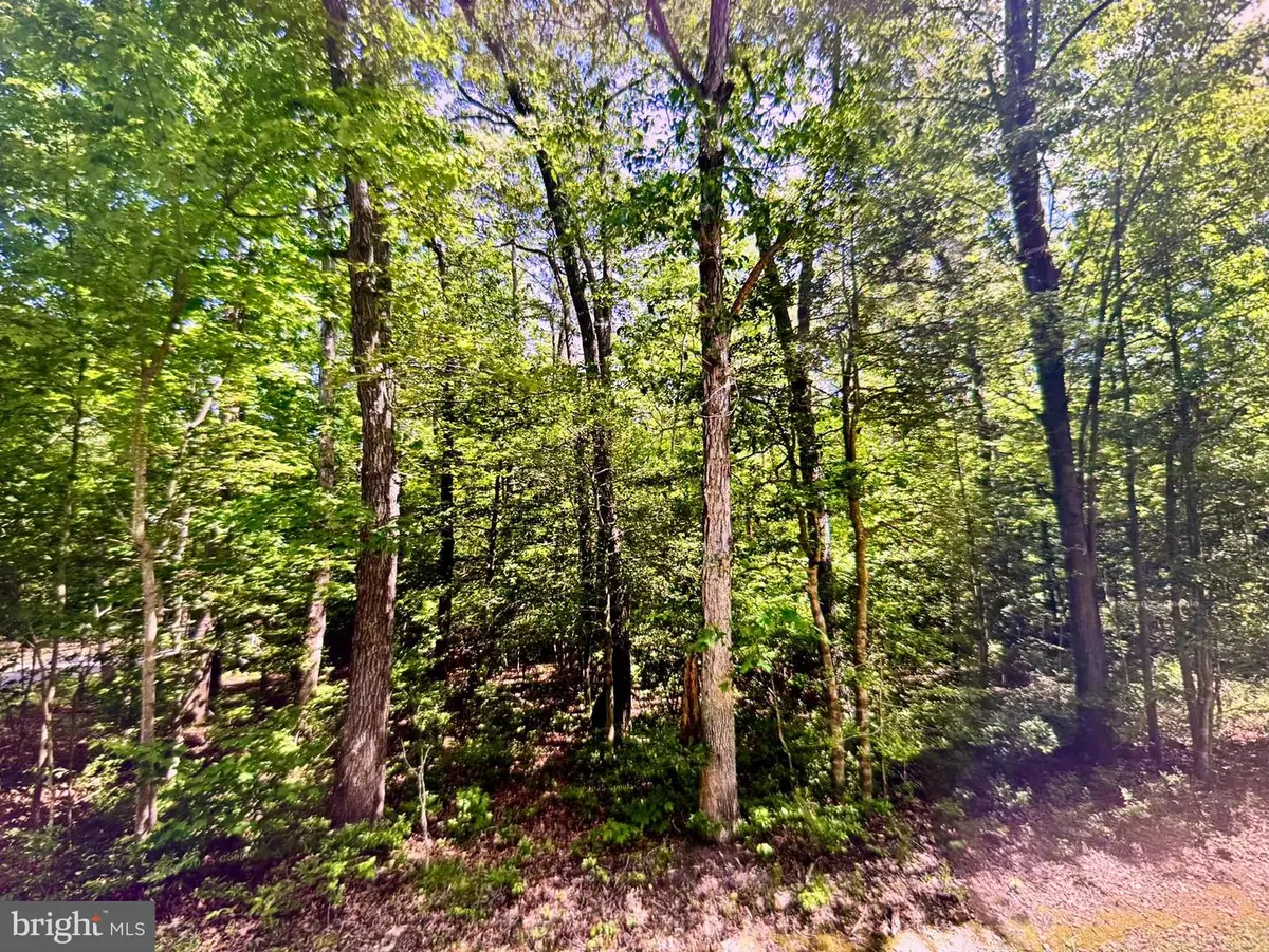 Lot 19 Mission Place, Millsboro, DE 19966 - Image #1