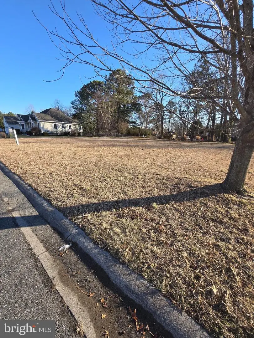4 Jordyn Ct, Ocean View, DE 19970 - #2
