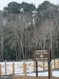 37052 Double Bridges Rd, Frankford, DE 19945 - #3