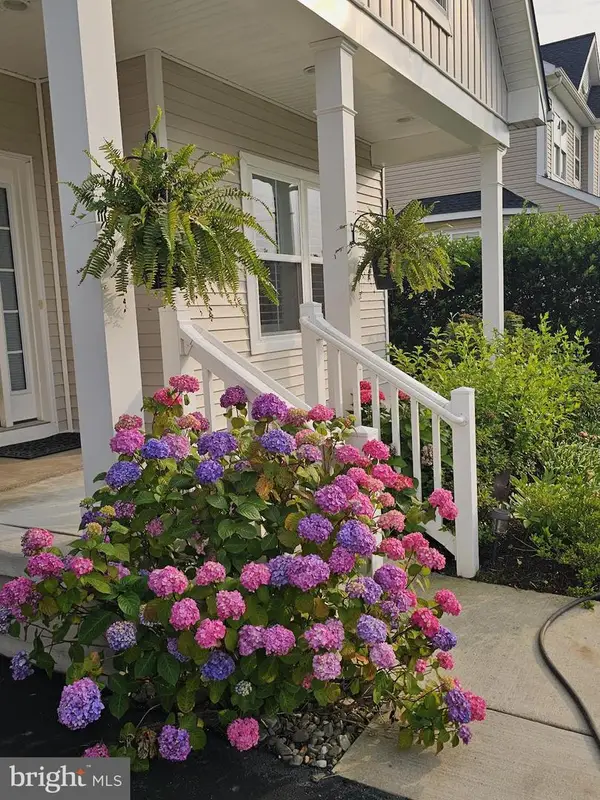 36997 Owl Dr, SELBYVILLE, DE 19975