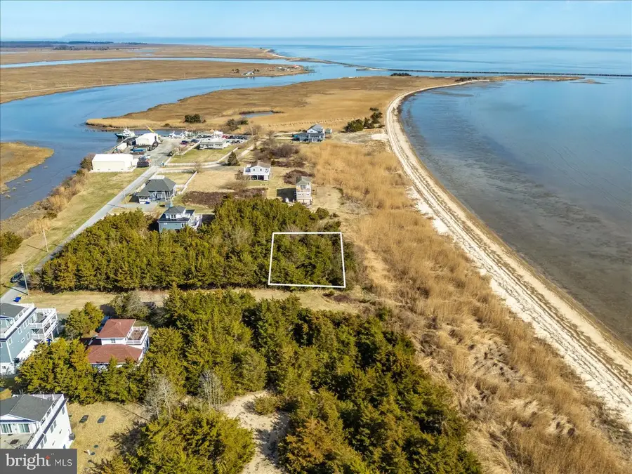 106 Blue Heron, Milford, DE 19963 - #3