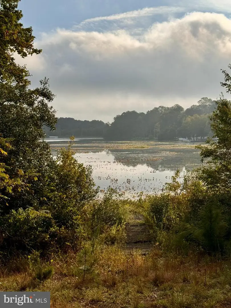 20442 Honeysuckle, Lincoln, DE 19960 - #3