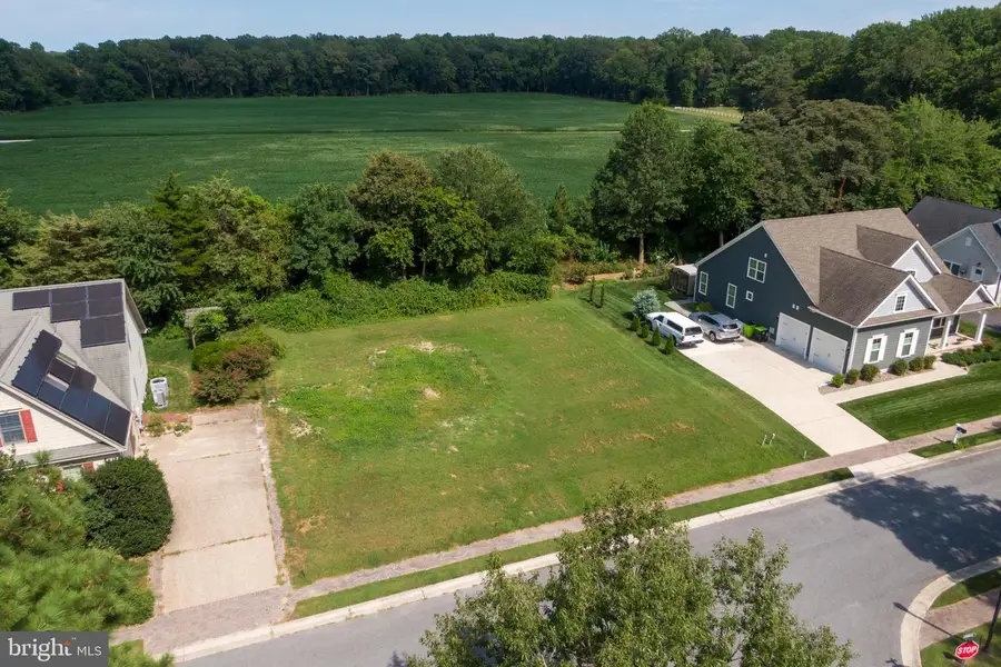 219 Chandler St, Milton, DE 19968 - #2