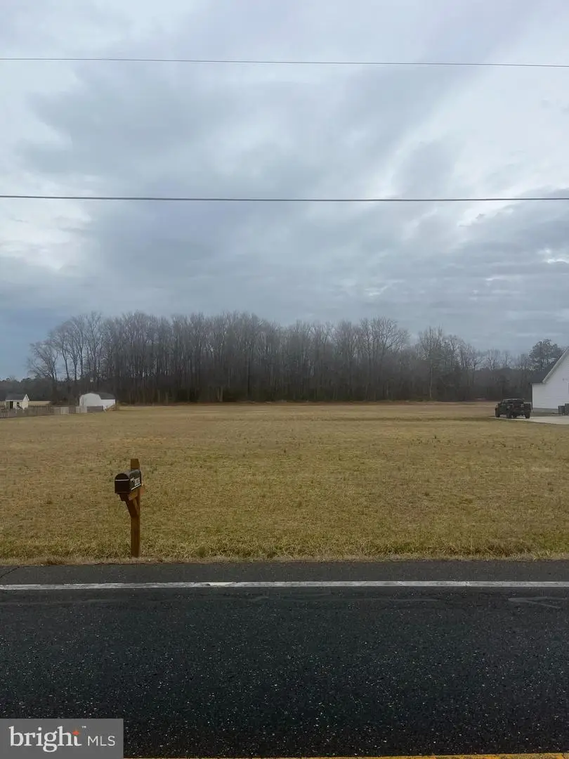 20229 W Piney Grove Rd, Georgetown, DE 19947 - #2