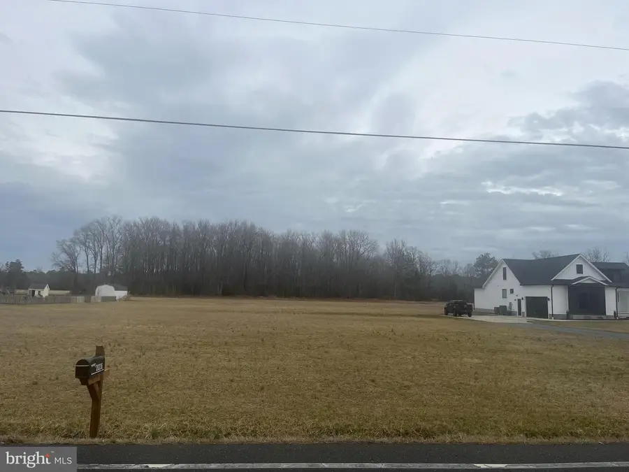 20229 W Piney Grove Rd, Georgetown, DE 19947 - #3