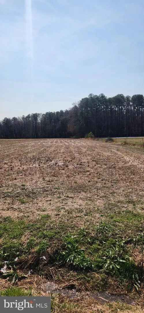 Lot 1 Pepperbox Rd, Laurel, DE 19956 - #2