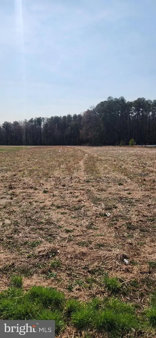 Lot 1 Pepperbox Rd, Laurel, DE 19956 - #3