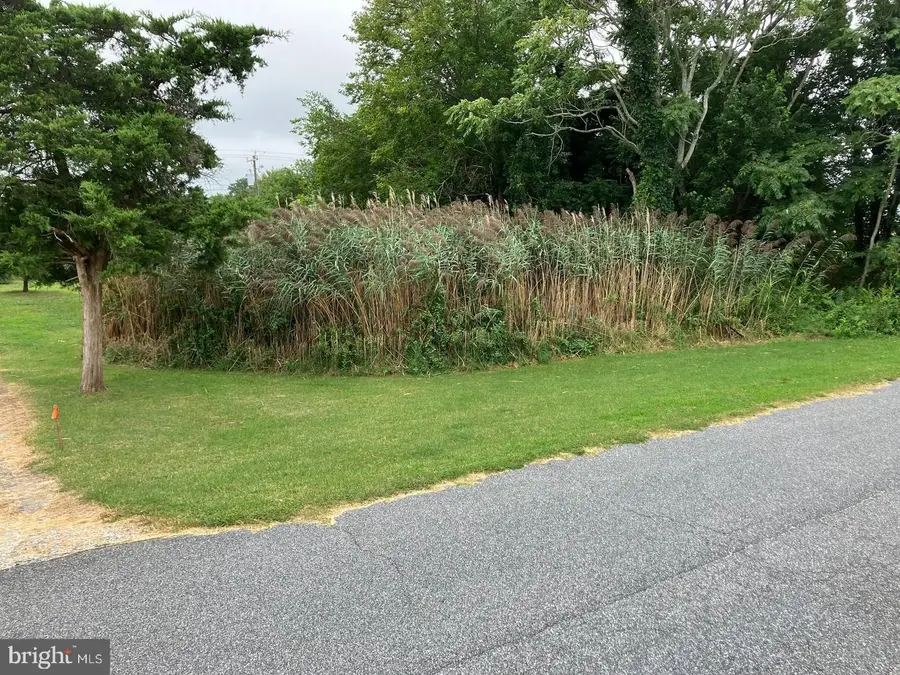 Lot 517 Beach Plum Drive, Milford, DE 19963 - #2