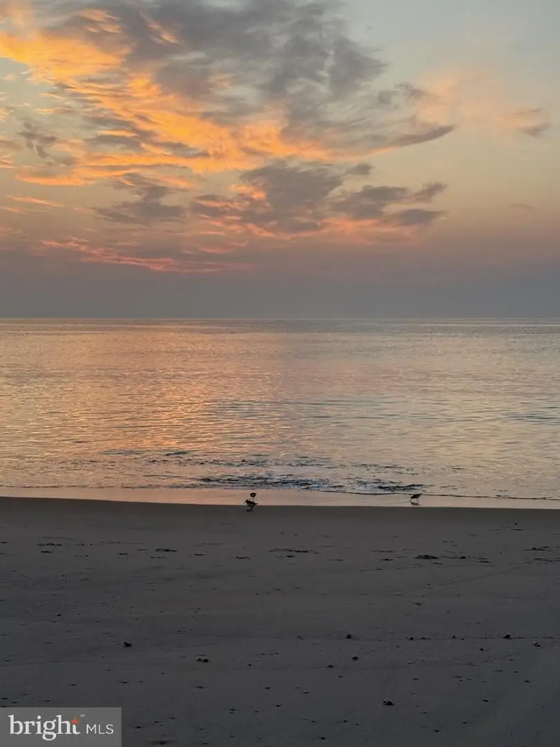 20994 Dodd Ave, Rehoboth Beach, DE 19971 - #1