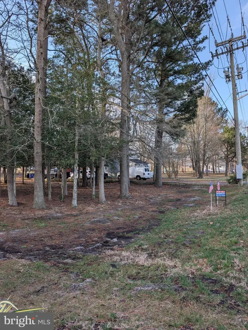 7 Woodland Ave, Ocean View, DE 19970 - #2