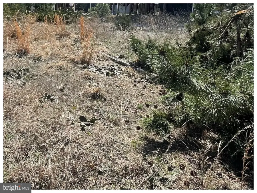 Pintail Ln, Milton, DE 19968 - #2