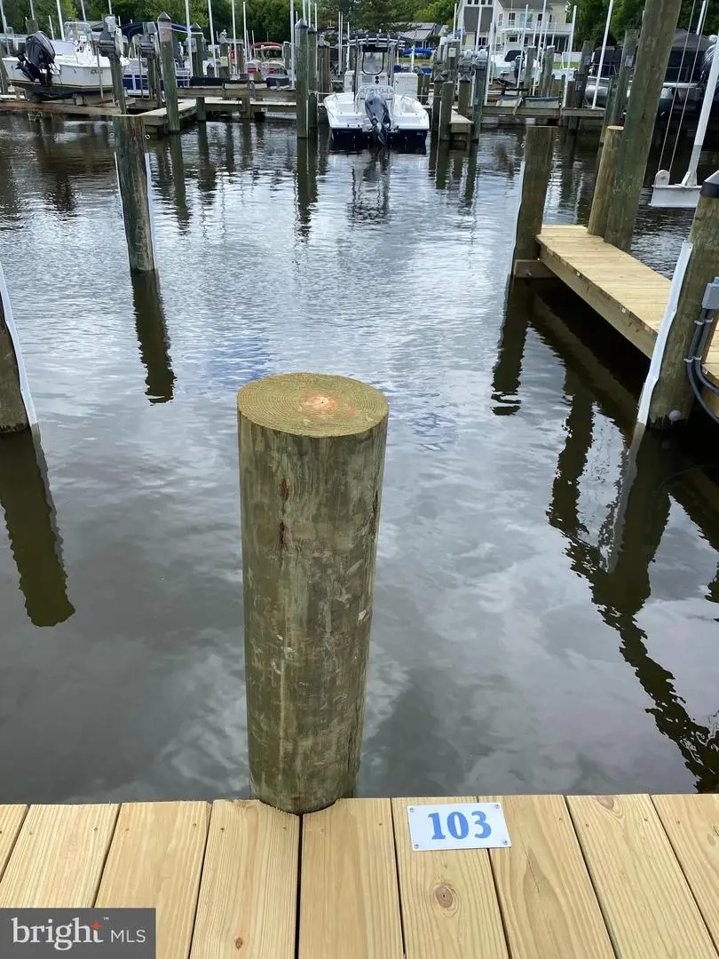 155 Naomi Drive #103d, Ocean View, DE 19970 - #3