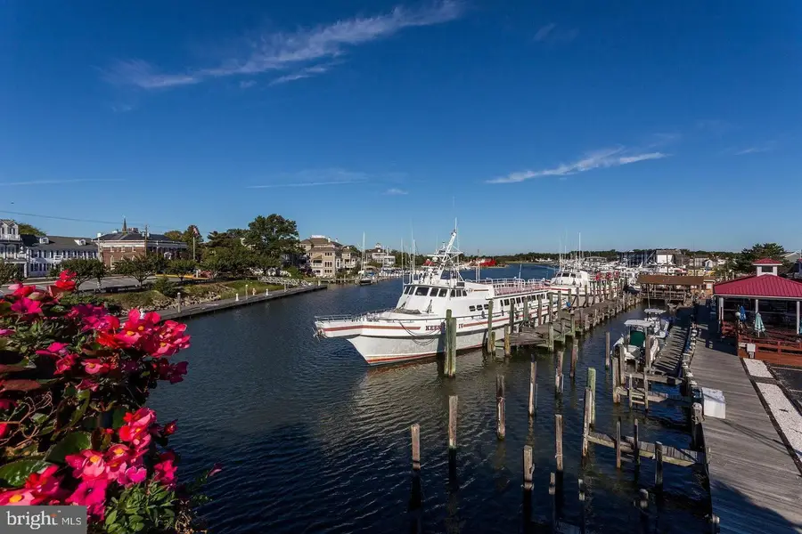 17367 Graceland Dr, Lewes, DE 19958 - #2