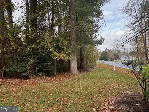 Lot 1 Canal Drive Extended, Millsboro, DE 19966 - #3