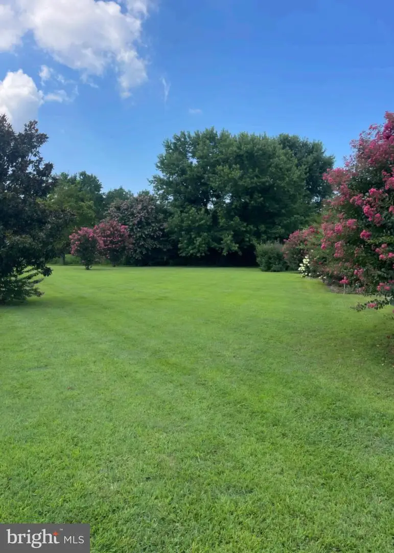 32930 Curley Dr, Millsboro, DE 19966 - #3
