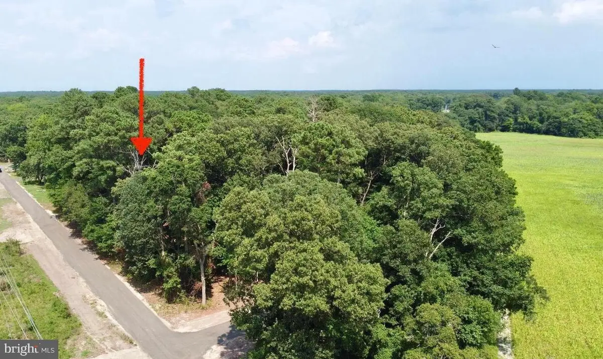 Lot 2 Mount Joy, Millsboro, DE 19966 - #1
