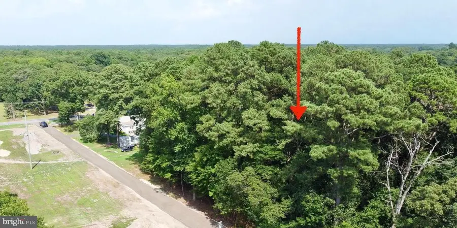 Lot 2 Mount Joy, Millsboro, DE 19966 - #2