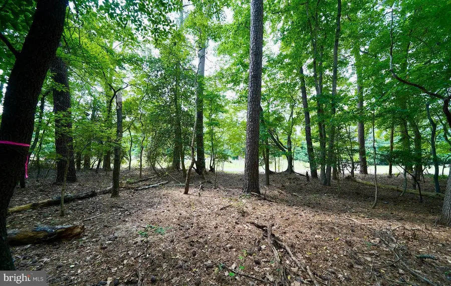 Lot 2 Mount Joy, Millsboro, DE 19966 - #3