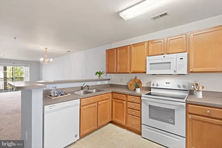 5202 Caitlins Way, Millsboro, DE 19966 - #3