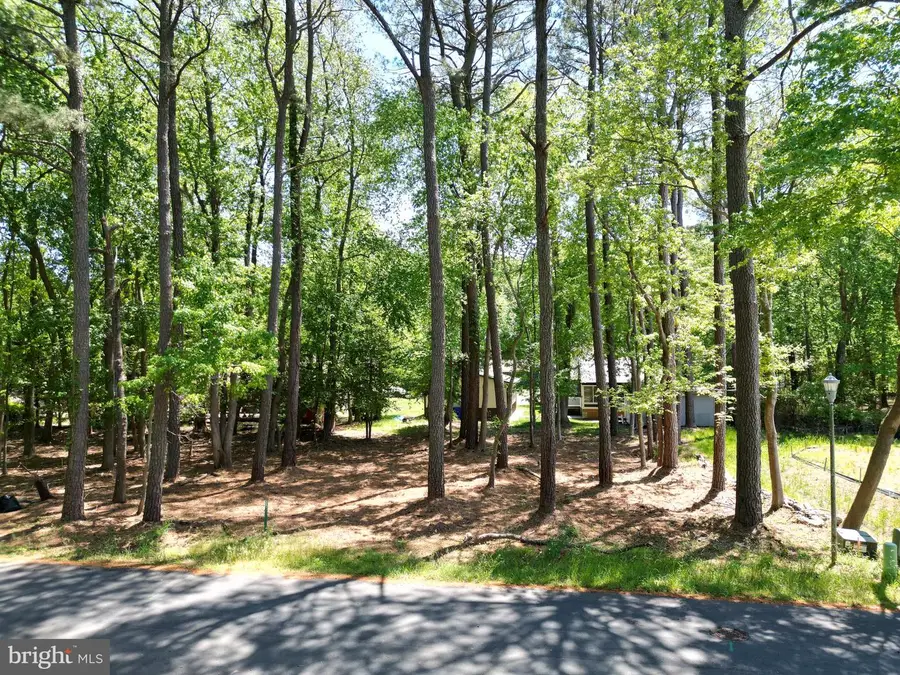 17 Kent Ave, Ocean View, DE 19970 - #3