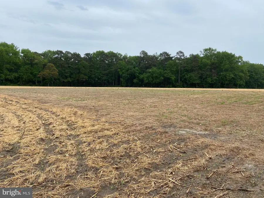 7059 Clark Rd, Seaford, DE 19973 - #3