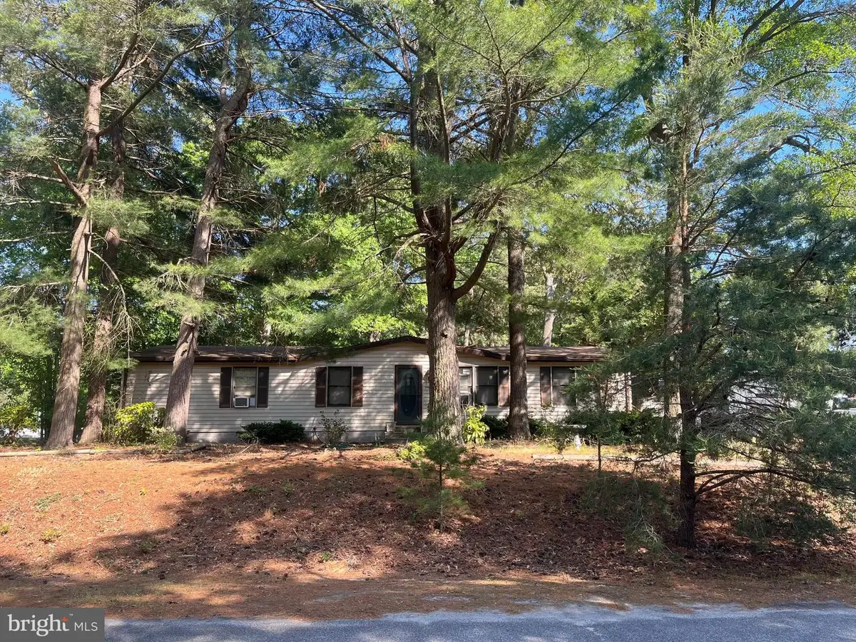 30891 Chestnut Dr, Millsboro, DE 19966 - #1