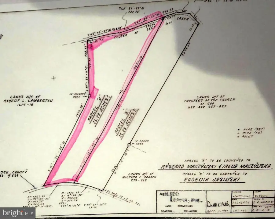 Cokesbury Road, Georgetown, DE 19947 - #2