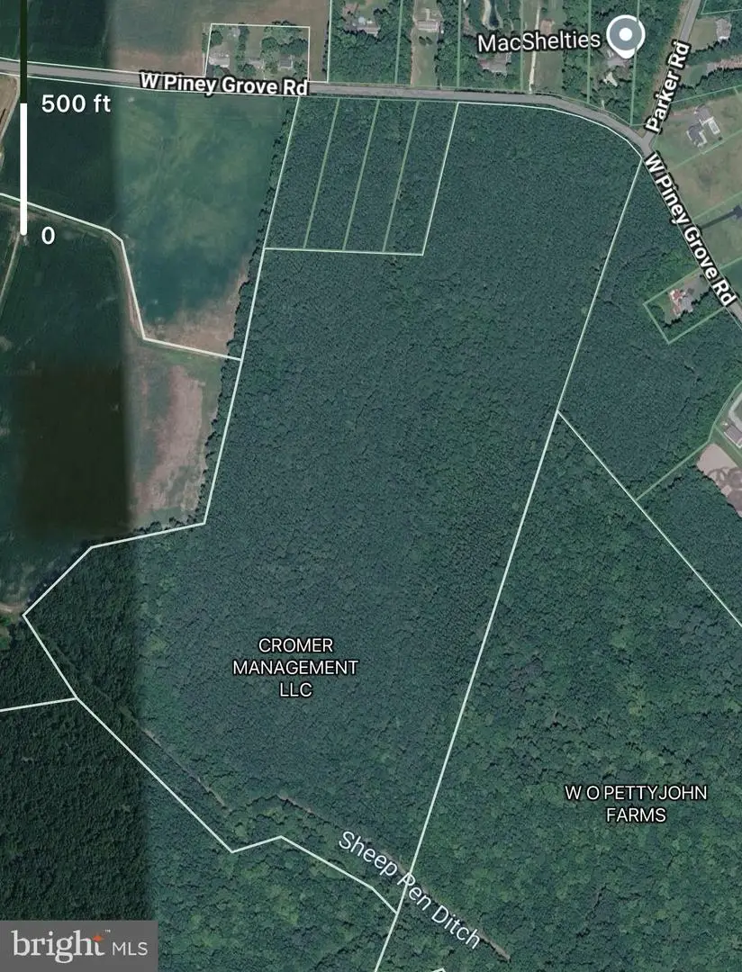 51 Acres W Piney Grove Road #de, Georgetown, DE 19947 - #2