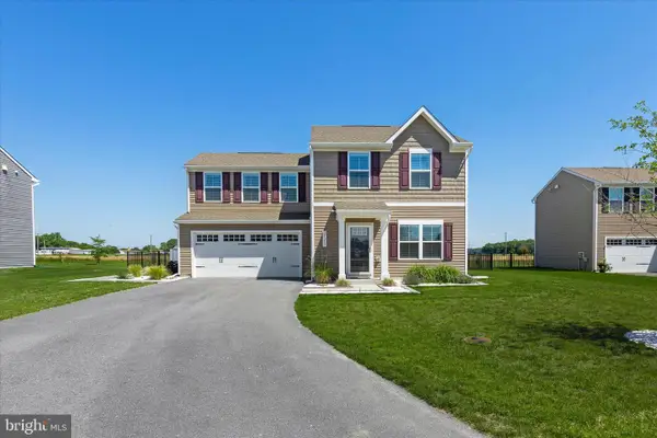 25252 Saltwater Cir, SELBYVILLE, DE 19975