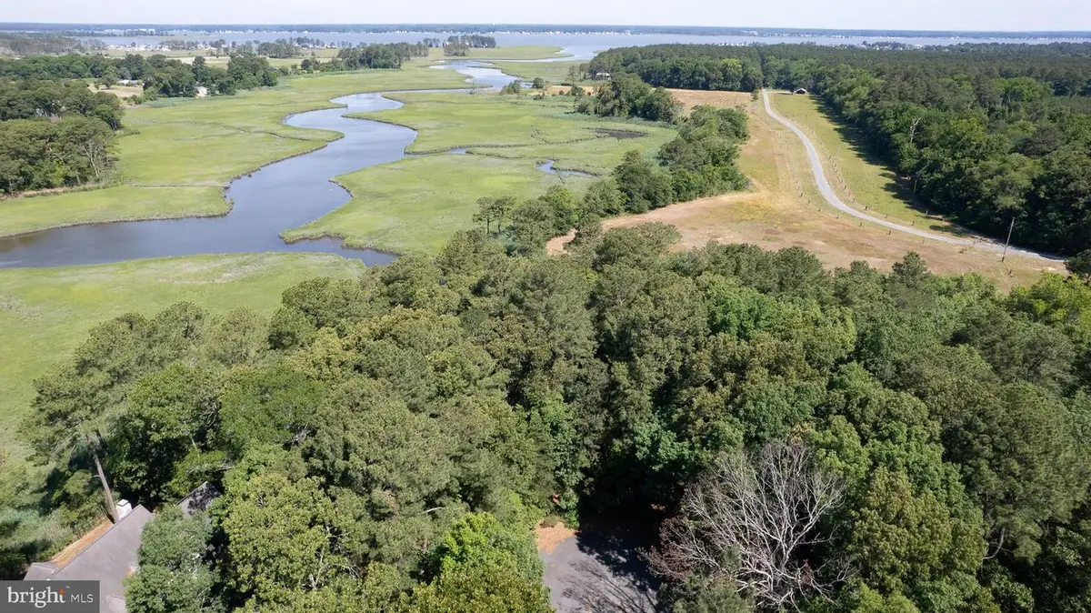 Lot 12 Mallard Dr, Dagsboro, DE 19939 - #1