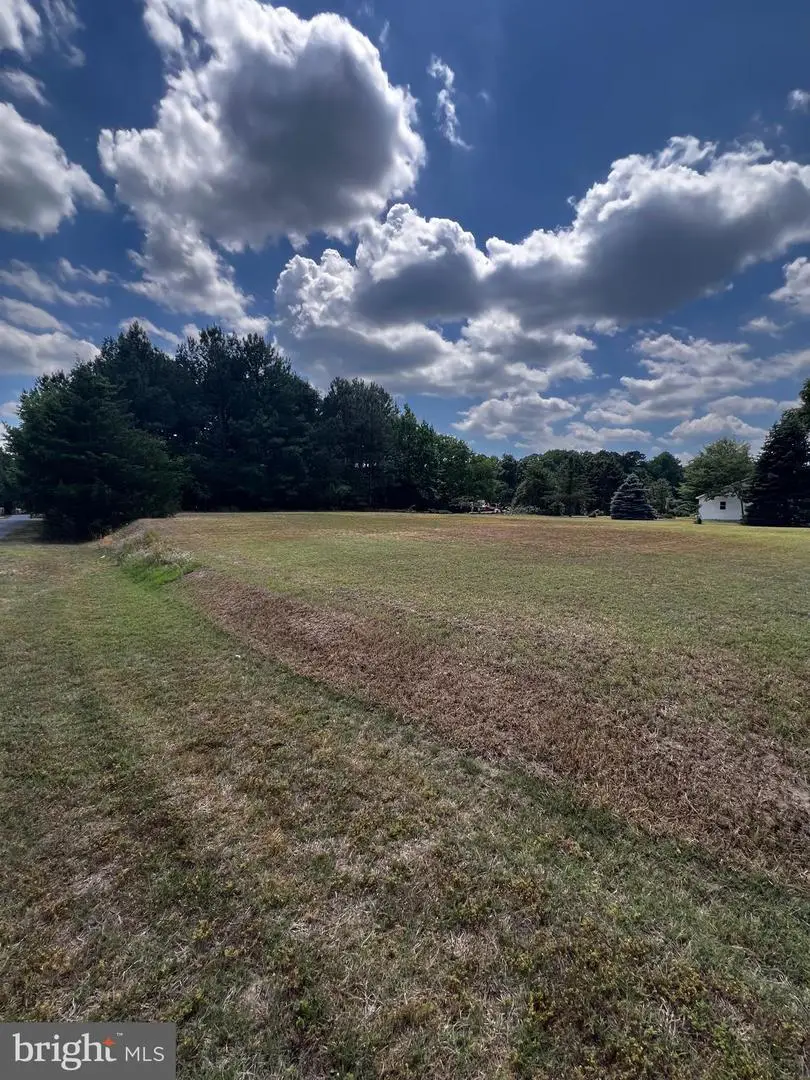 0 Dirreckson Dr, Frankford, DE 19945 - #2