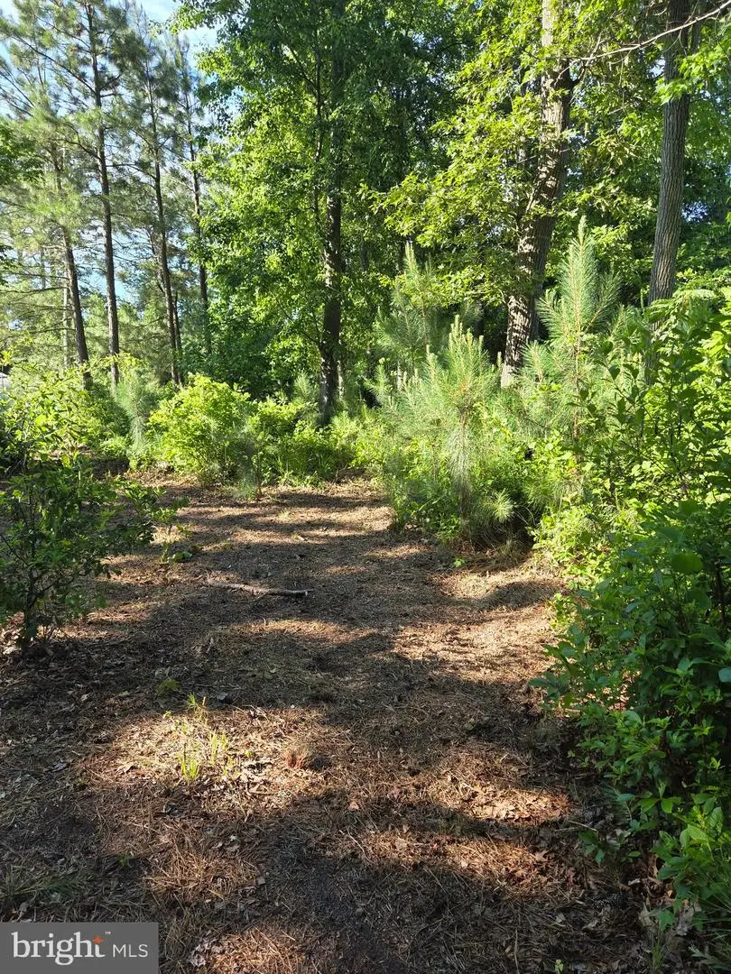 0 Parker House Road, Ocean View, DE 19970 - #1