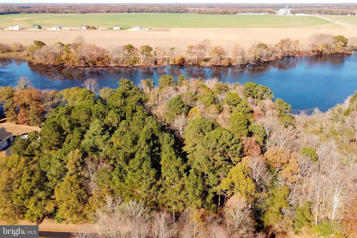 Lot 4 Reynolds Pond Rd, Milford South, DE 19947 - #1