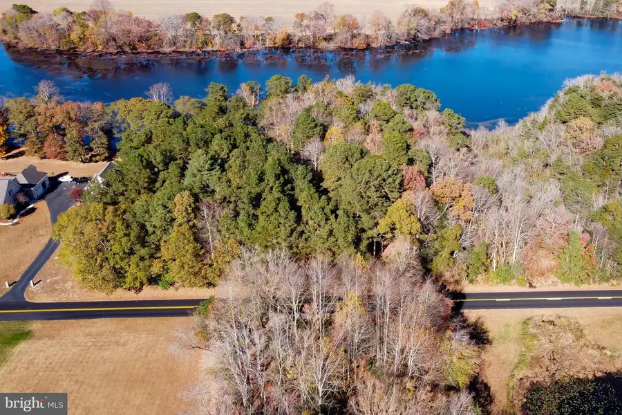 Lot 4 Reynolds Pond Rd, Milford South, DE 19947 - #2