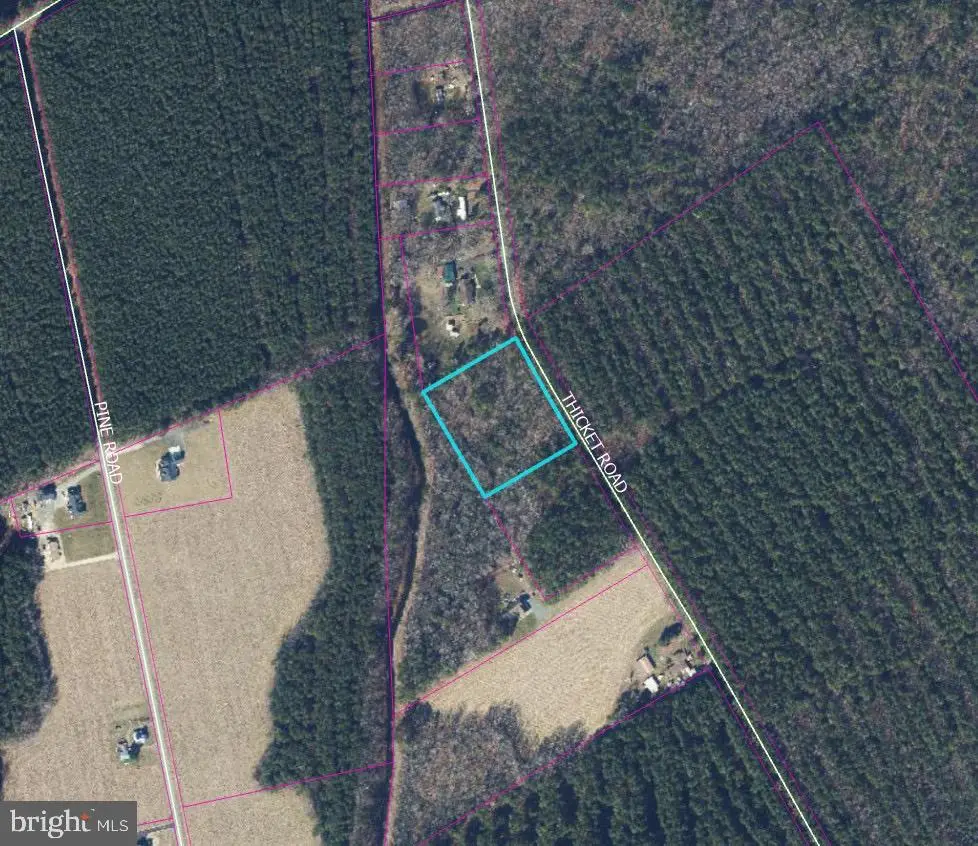0 Thicket Rd, Milton, DE 19968 - #1