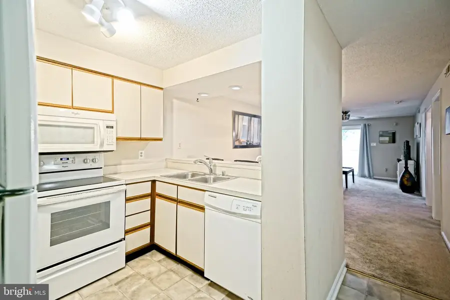 36011 Condo Dr #a106, Rehoboth Beach, DE 19971 - #2