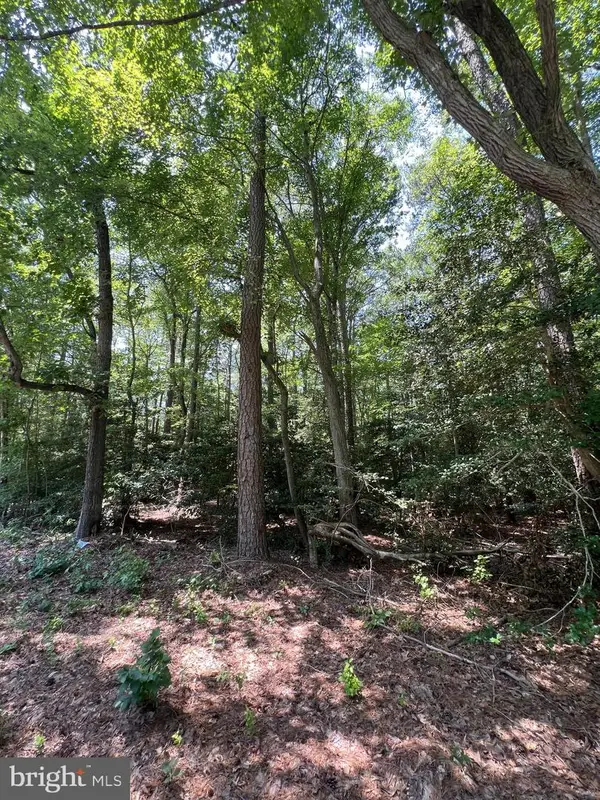 107 W Vega Way #7, MILTON, DE 19968