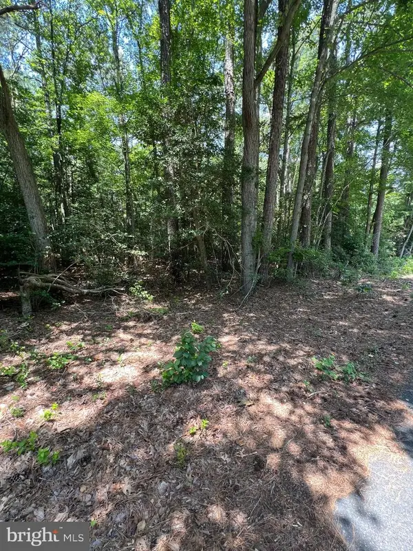 109 W Vega Way #lot 8, MILTON, DE 19968