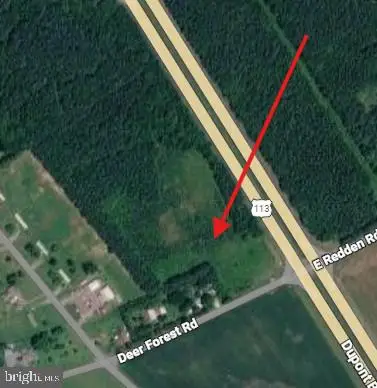 0 0 Rt 113 And Deer Forest Rd, GEORGETOWN, DE 19947