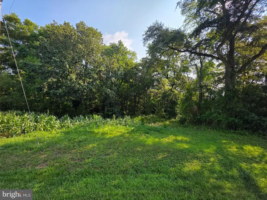 Tbd Lot B Phillips Rd, Selbyville, DE 19975 - #2